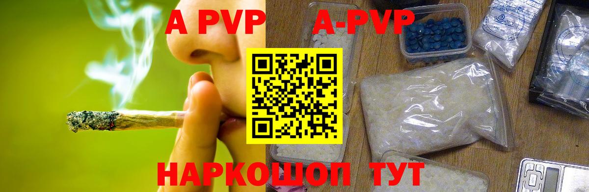 Альфа ПВП СК КРИС  A PVP СК  Владикавказ  Альфа ПВП  Вход с VPN 