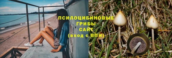 гидропоника Абдулино