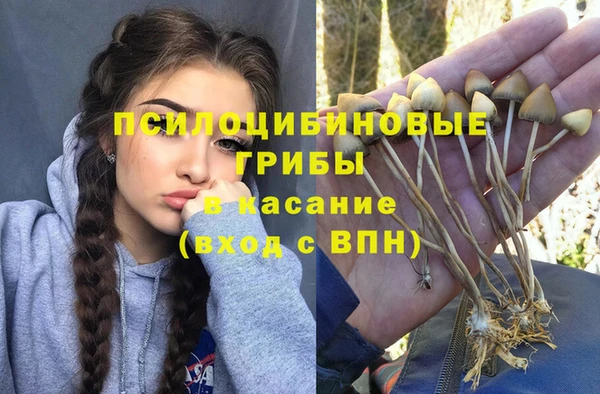 гидропоника Абдулино