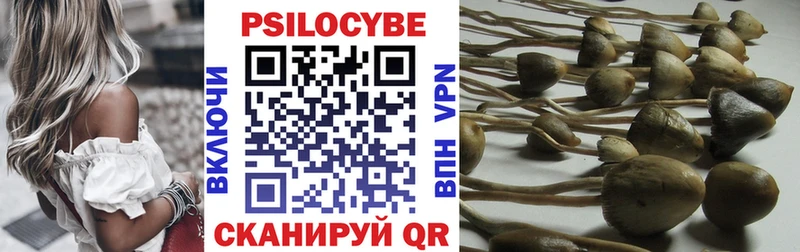 Галлюциногенные грибы мицелий  Владикавказ 