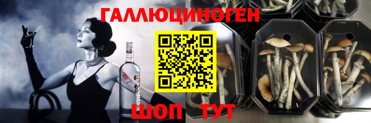 Владикавказ  Галлюциногенные грибы MAGIC MUSHROOMS  Вход с VPN 